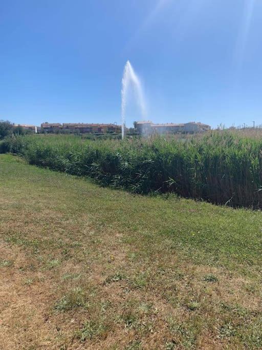 Appartement Le Florid Cap D'Agde, T2 , 4 Pers, 200M Plage, Terrasse ภายนอก รูปภาพ